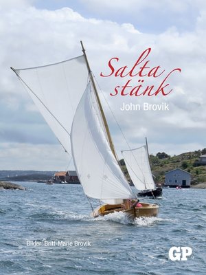 cover image of Salta stänk